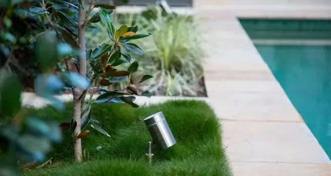 Screen-Shot-2019-04-24-at-2.46.39-pm.png.webp